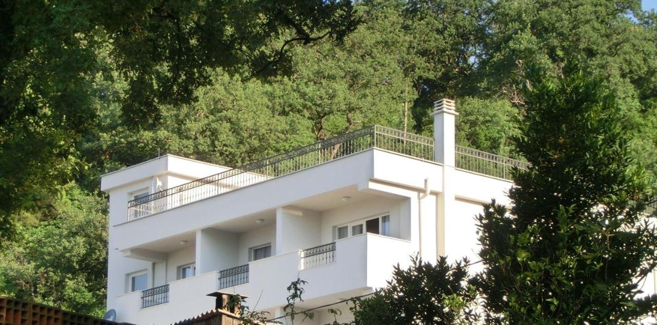 Villa Slovenika Budva Dış mekan fotoğraf